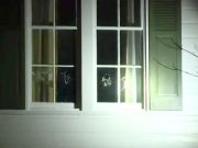 Трансгендерные войны продолжают накрывать Америку Трансгендерные войны продолжают накрывать Америку