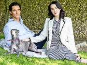 В Британии падает рождаемость, но растёт число домашних собак и кошек. Процесс волне логичный. С одной стороны идёт замещающая миграция, а с другой — животные замещают детей. А что в России? То же самое, только у нас котобесие.