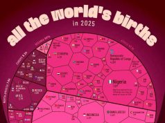 2025 год — РЕКВИЕМ ПО БЕЛОМУ ЧЕЛОВЕКУ 2025 год - РЕКВИЕМ ПО БЕЛОМУ ЧЕЛОВЕКУ