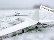 Для чего же бандерлоги затягивают переговоры? Для чего же бандерлоги затягивают переговоры?