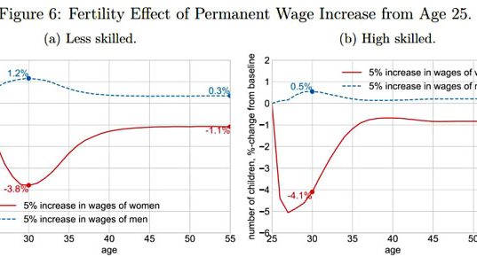 Правдивое исследование о причинах падения рождаемости в мире Правдивое исследование о причинах падения рождаемости в мире