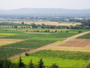 Грузия ежегодно производит сельскохозяйственную продукцию на сумму 1,5 миллиарда долларов, что составляет лишь 3% потенциала страны