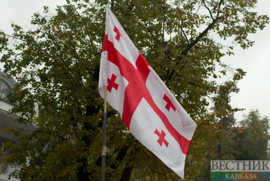 Грузия открыта для новых проектов – Мака Бочоришвили