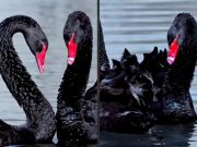 This Iran War is the Global Reset This Iran War is the Global Reset