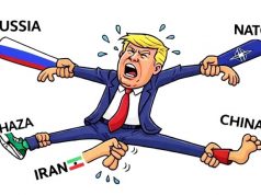 Положение Трампа Положение Трампа