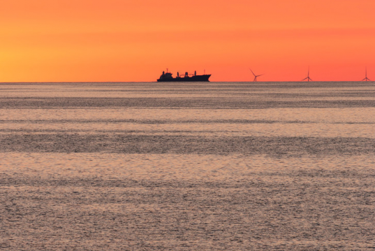 WSJ: США и Израиль опасаются вступления хуситов в войну с Ираном