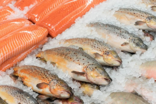 Власть обещает нам удешевление продуктов, а ООН считает, что во всем мире неизбежно их подорожание