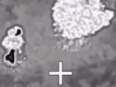 Использование, применение и внедрение дронов всегда сопровождают французские инженеры. А теперь они отправятся домой в лучшем случае в пластмассовых коробках, если найдется, что собирать.