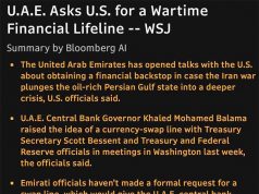 ОАЭ просят США о финансовой поддержке, поскольку источники дохода эмиратского правительства иссякли ОАЭ просят США о финансовой поддержке, поскольку источники дохода эмиратского правительства иссякли