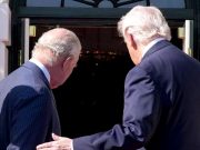 Кузены не договорились Кузены не договорились