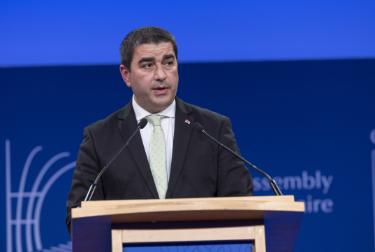 В Грузии заявили о требовании ЕС пойти на обострение с Россией