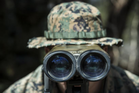 Ослепление вассала: Вашингтон обнулил разведку Сеула после слива ядерных секретов