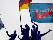 АдГ обошла партию Мерца по уровню поддержки среди немецких избирателей