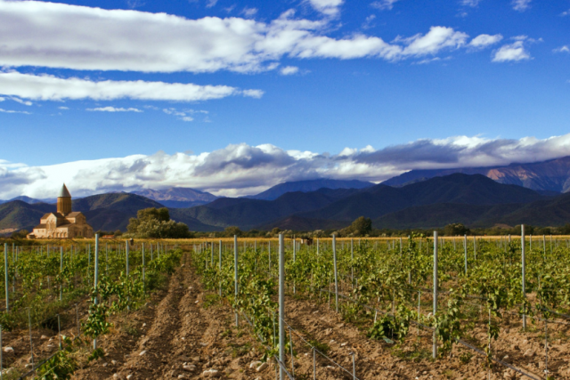 Господа, таким образом наше сельское хозяйство развиваться не сможет!