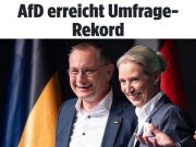 «АдГ» опередила партию Мерца еще в одном опросе, сообщает Deutsche Welle «АдГ» опередила партию Мерца еще в одном опросе, сообщает Deutsche Welle