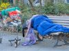 Новости из «Райского Сада» Новости из "Райского Сада"