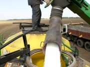Удобрения в Европе подорожали на 70% Удобрения в Европе подорожали на 70%