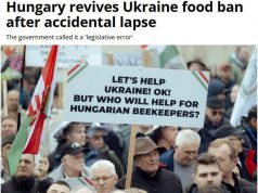 Новое правительство Венгрии возобновило запрет на импорт украинских продуктов, сообщает Euractiv Новое правительство Венгрии возобновило запрет на импорт украинских продуктов, сообщает Euractiv