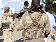 Хуситы выстраивают взаимодействие с сомалийской Al-Shabaab Хуситы выстраивают взаимодействие с сомалийской Al-Shabaab