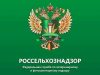 Россельхознадзор ограничивает ввоз всей подкарантинной продукции из Армении Россельхознадзор ограничивает ввоз всей подкарантинной продукции из Армении
