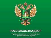 Россельхознадзор ограничивает ввоз всей подкарантинной продукции из Армении Россельхознадзор ограничивает ввоз всей подкарантинной продукции из Армении