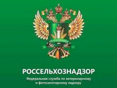 Россельхознадзор ограничивает ввоз всей подкарантинной продукции из Армении Россельхознадзор ограничивает ввоз всей подкарантинной продукции из Армении