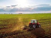 Сегодня сельскохозяйственная отрасль производит в Грузии всего лишь 3% от того, что она производила в 1989 году Сегодня сельскохозяйственная отрасль производит в Грузии всего лишь 3% от того, что она производила в 1989 году