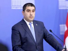 Маленьким государства может быть более выгодно остаться вне Евросоюза — спикер парламента Грузии Маленьким государства может быть более выгодно остаться вне Евросоюза — спикер парламента Грузии