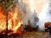Французские правоохранители задержали 275 человек из-за охвативших южные регионы страны пожаров Французские правоохранители задержали 275 человек из-за охвативших южные регионы страны пожаров