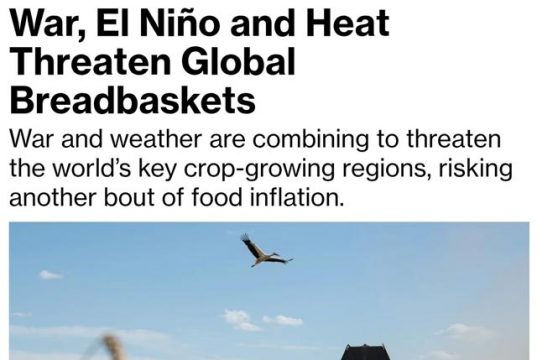 Bloomberg: Война в Украине и экстремальная погода создают угрозу нового глобального продовольственного кризиса Bloomberg: Война в Украине и экстремальная погода создают угрозу нового глобального продовольственного кризиса