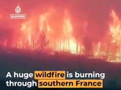 Во Франции продолжают бушевать пожары небывалой силы Во Франции продолжают бушевать пожары небывалой силы