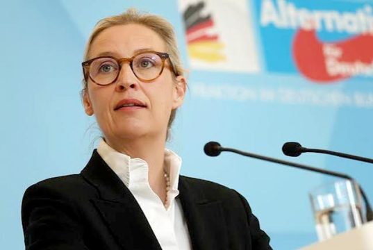 Важное «установочное» интервью лидера Альтернативы для Германии Алисы Вайдель Важное "установочное" интервью лидера Альтернативы для Германии Алисы Вайдель