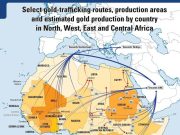 Интересный отчёт выпустил IISS по нелегальной добыче и торговле золотом Интересный отчёт выпустил IISS по нелегальной добыче и торговле золотом