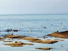 Падение уровня Каспийского моря угрожает работе Среднего коридора Падение уровня Каспийского моря угрожает работе Среднего коридора