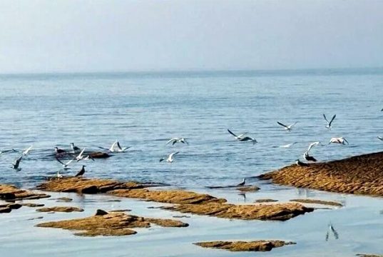 Падение уровня Каспийского моря угрожает работе Среднего коридора Падение уровня Каспийского моря угрожает работе Среднего коридора