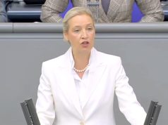 Алиса Вайдель призвала Германию начать мирные переговоры с Россией Алиса Вайдель призвала Германию начать мирные переговоры с Россией