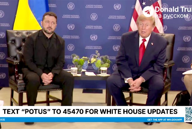 Трамп Трамп