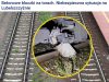 Неизвестные попытались устроить диверсию на железной дороге, по которой идут грузы в Украину, — RMF24 Неизвестные попытались устроить диверсию на железной дороге, по которой идут грузы в Украину, — RMF24