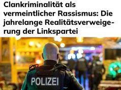 Победившая в Берлине левая партия Linke осуждает клановую преступность как расистское явление Победившая в Берлине левая партия Linke осуждает клановую преступность как расистское явление