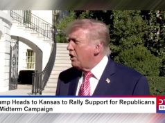Полная цитата Трампа о Зеленском Полная цитата Трампа о Зеленском
